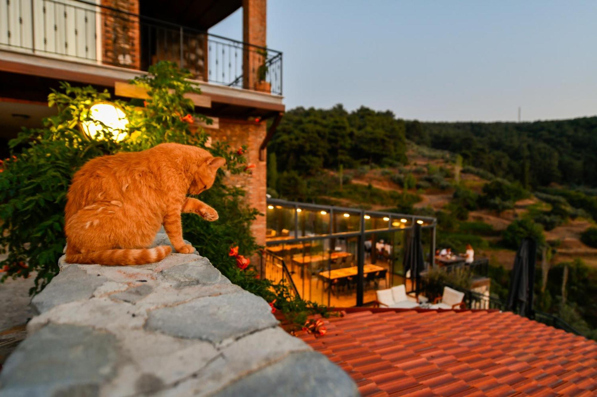 Ephesus Retreat Hotel İzmir Buitenkant foto