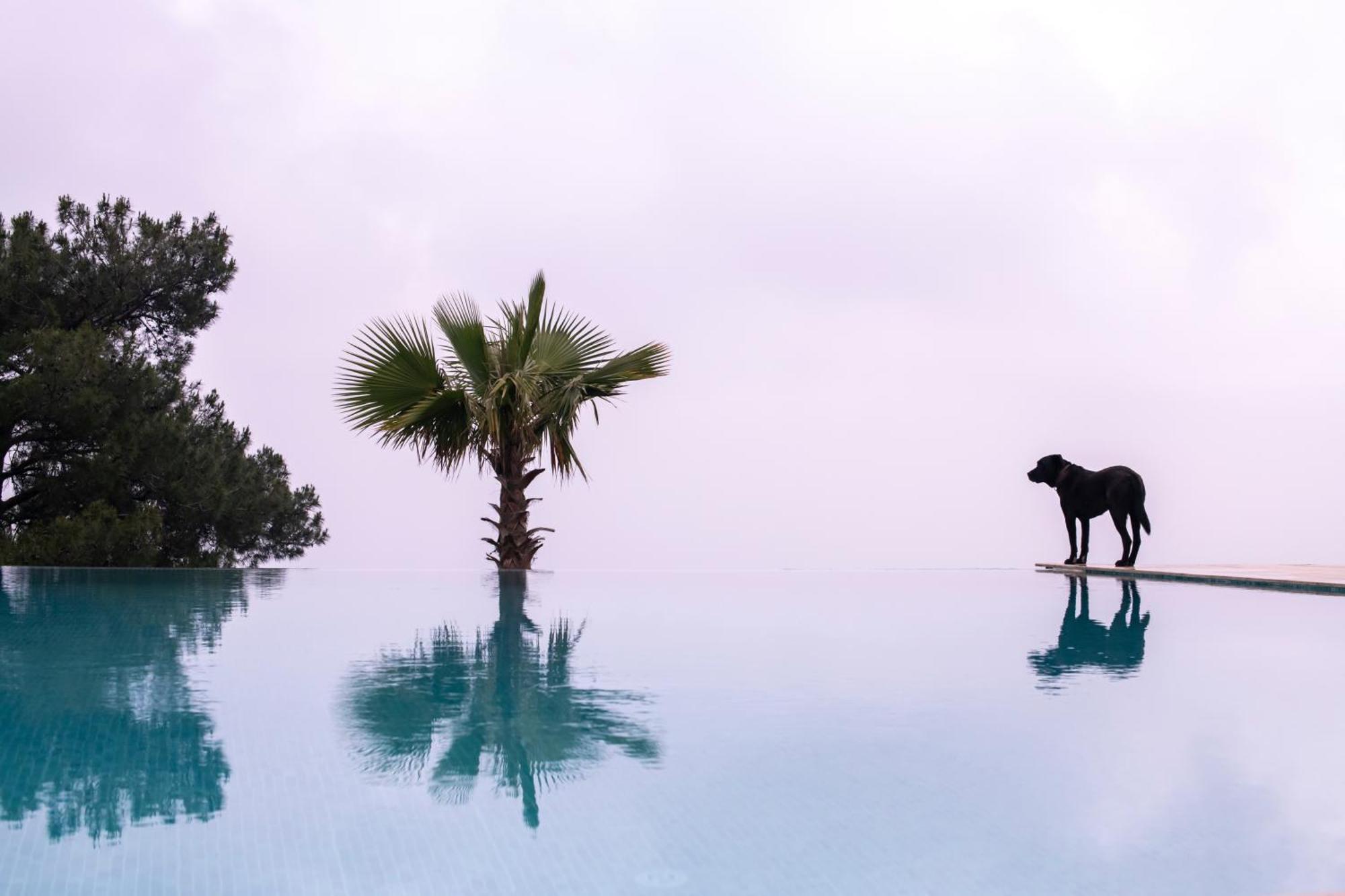 Ephesus Retreat Hotel İzmir Buitenkant foto