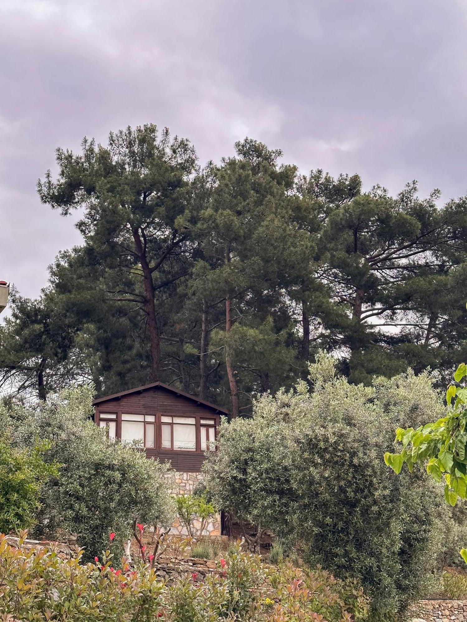 Ephesus Retreat Hotel İzmir Buitenkant foto